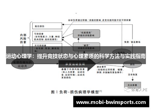 运动心理学：提升竞技状态与心理素质的科学方法与实践指南