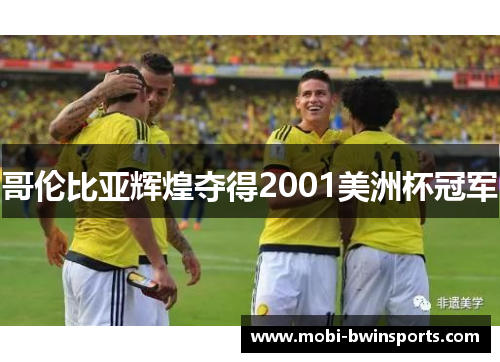 哥伦比亚辉煌夺得2001美洲杯冠军