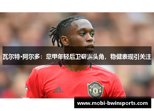 瓦尔特·阿尔多：意甲年轻后卫崭露头角，稳健表现引关注