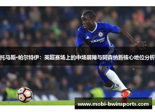 托马斯·帕尔特伊：英超赛场上的中场屏障与阿森纳新核心地位分析