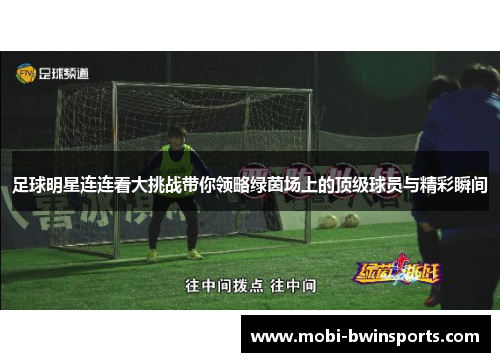 足球明星连连看大挑战带你领略绿茵场上的顶级球员与精彩瞬间