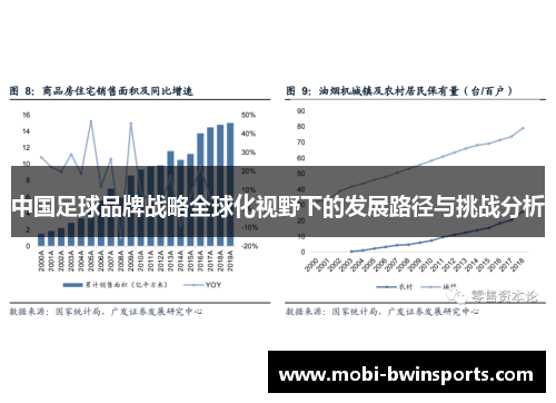 中国足球品牌战略全球化视野下的发展路径与挑战分析