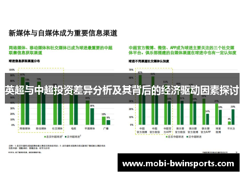 英超与中超投资差异分析及其背后的经济驱动因素探讨