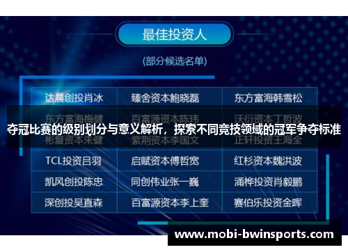 夺冠比赛的级别划分与意义解析，探索不同竞技领域的冠军争夺标准