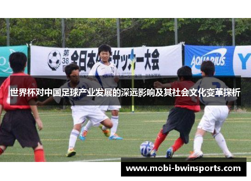 世界杯对中国足球产业发展的深远影响及其社会文化变革探析